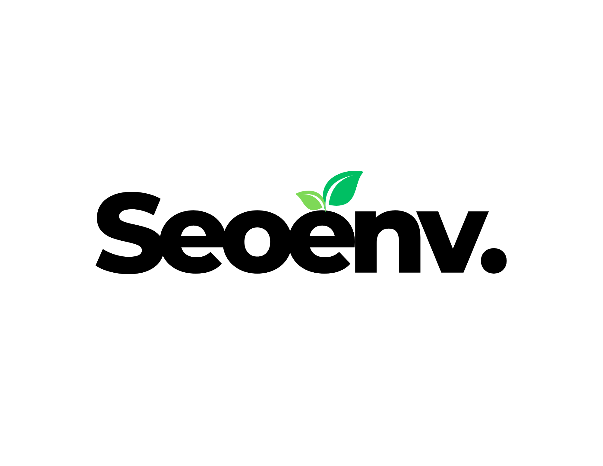 Seoenv