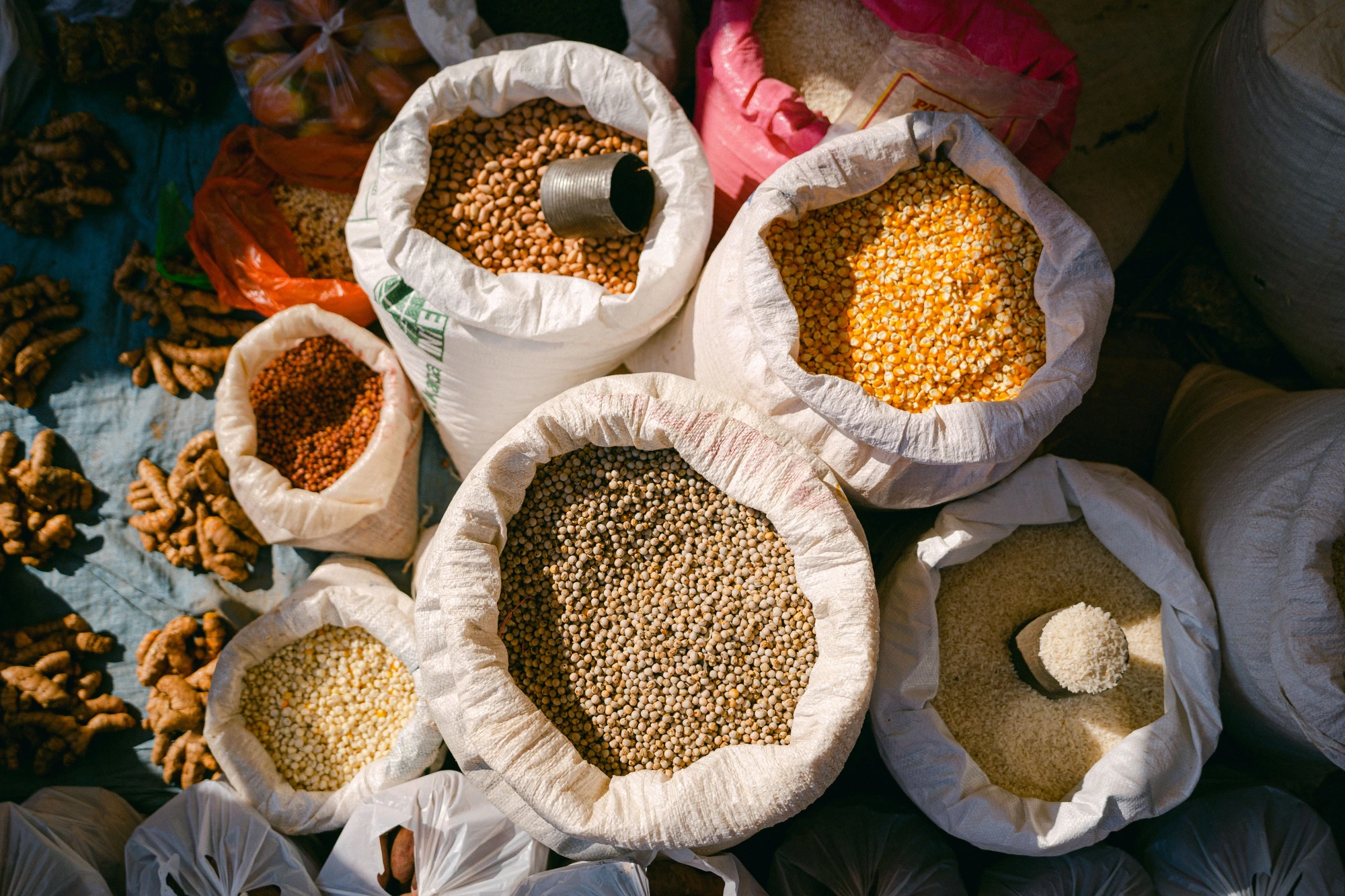 Grains, Pulses & Flours