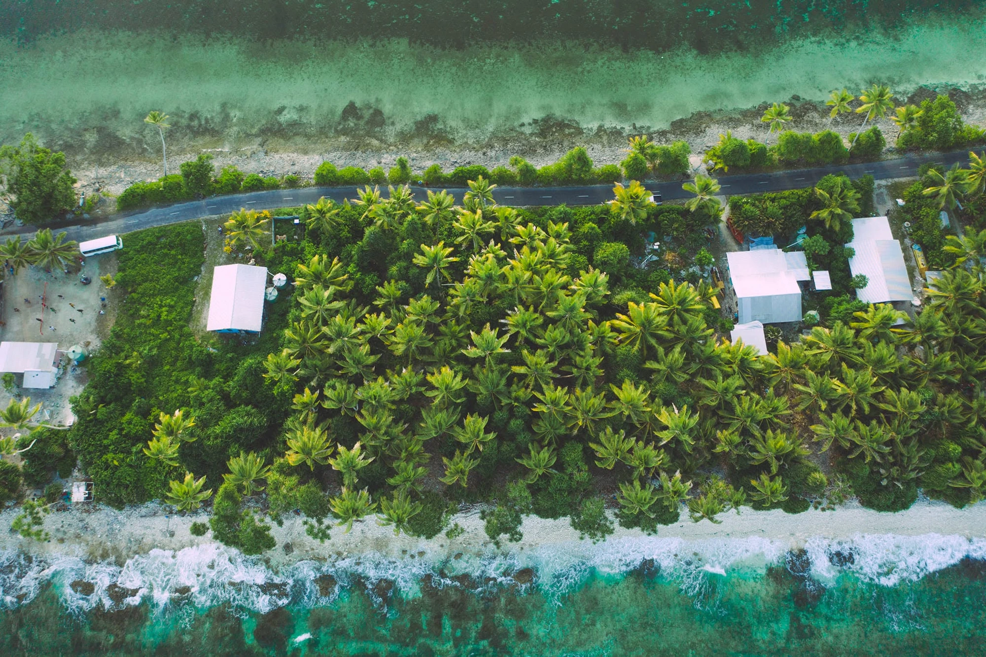 WayFinder Pacific field imagery