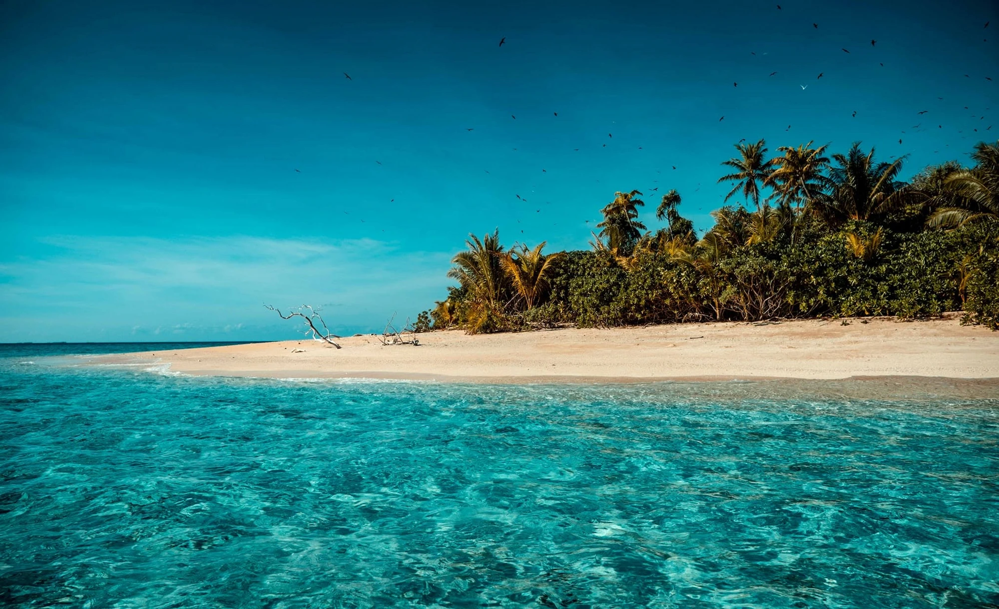 Aerial view of the Pacific ocean and scattered atolls