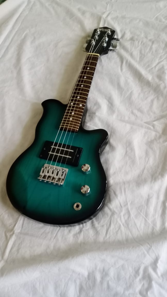 The five-string electric mandolin