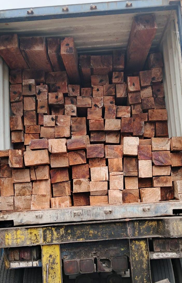 Meranti Merah — jual kayu meranti berkualitas