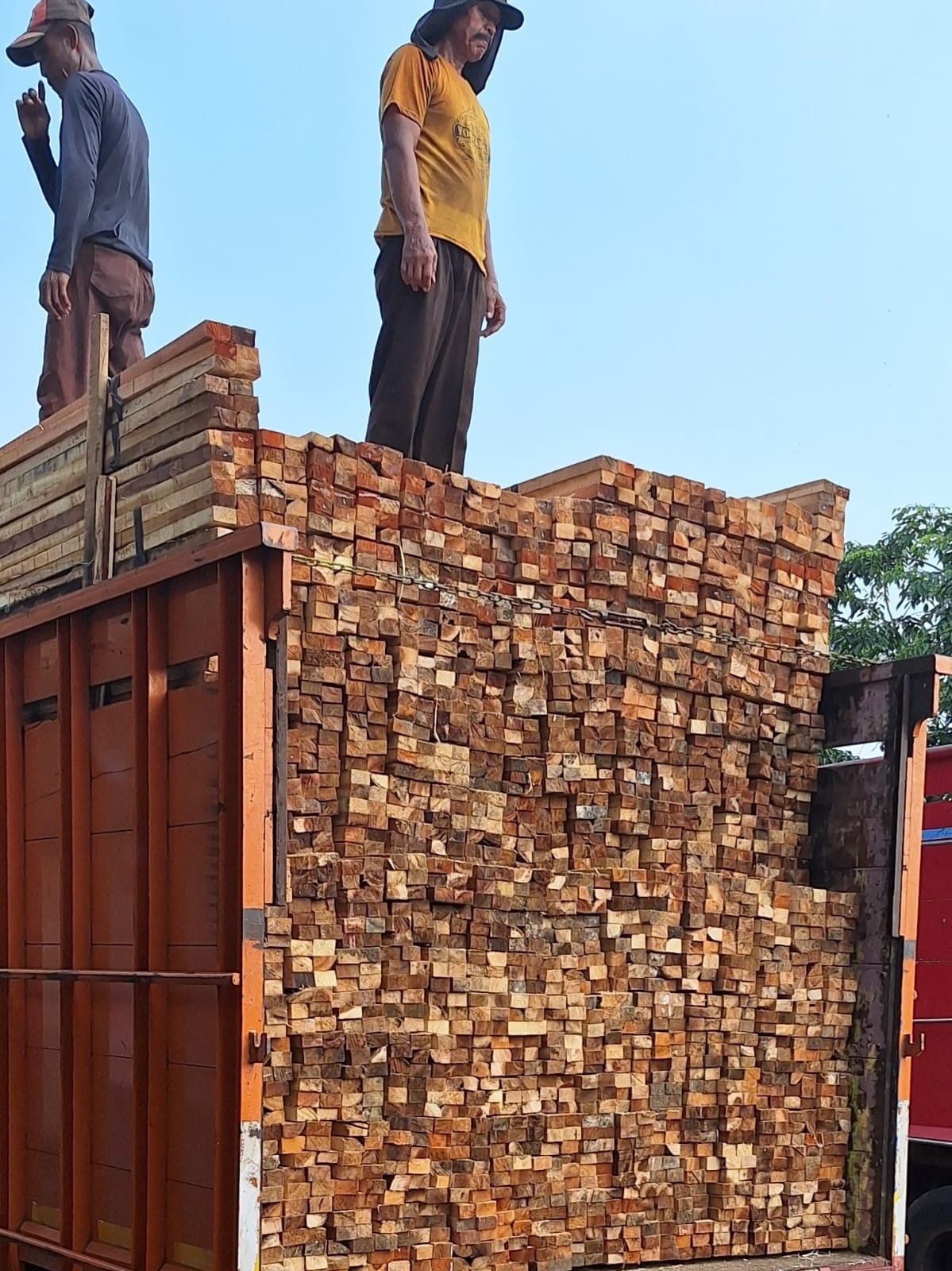 Pabrik kayu olahan dan pabrik triplek PT. SINAR AL MUBAROKAH