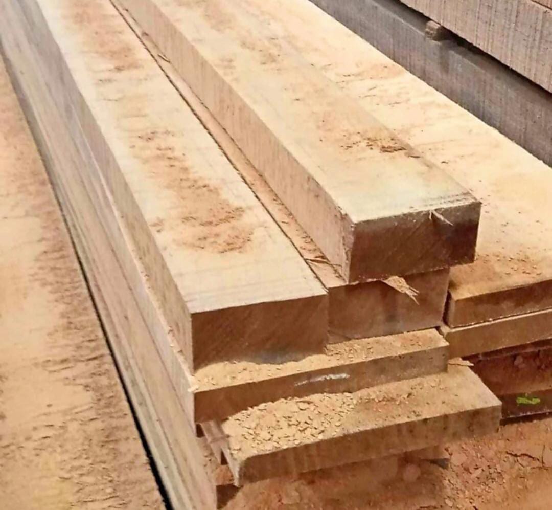 Kayu Bengkirai Tanduk — jual papan kayu jati perhutani