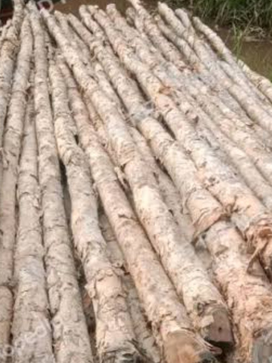 Dolken Gelam — grosir kayu konstruksi proyek